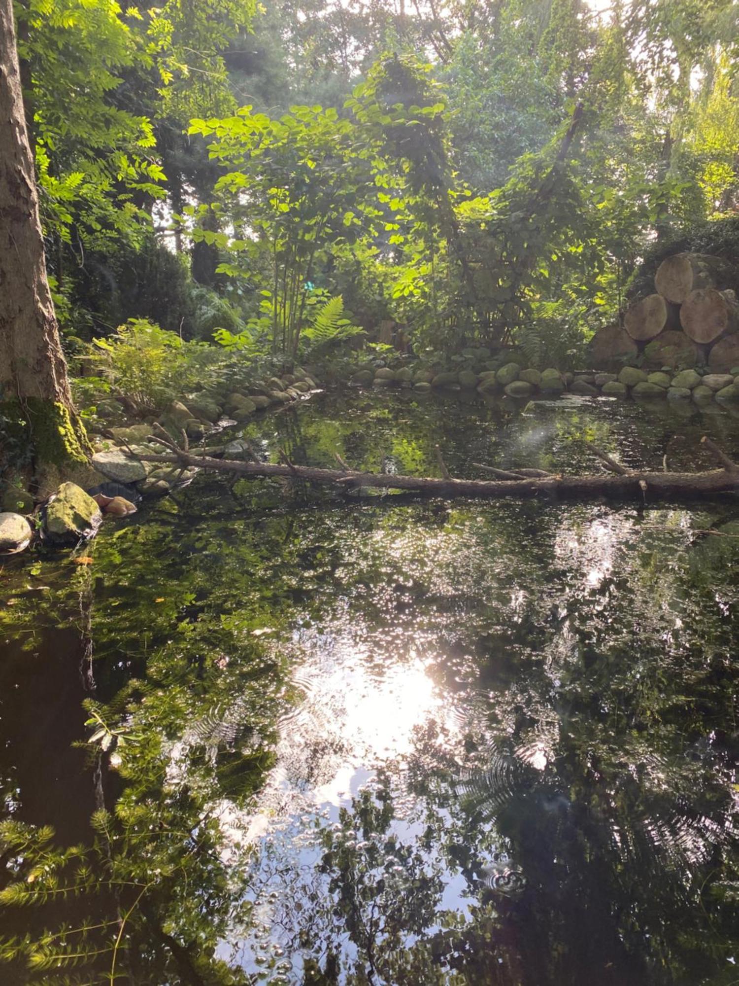 Ferienwohnung Auf Einem Resthof Zentral Gelegen Mit Viel Natur Und Tieren Rendswuhren ภายนอก รูปภาพ